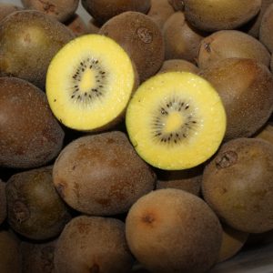 comprar-frutas-online-kiwis-amarillos-gcfruits