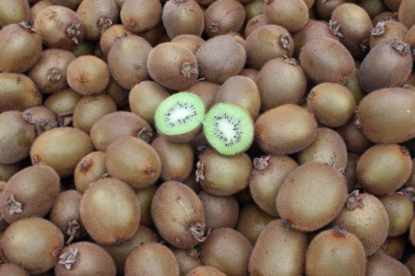 comprar-frutas-online-kiwis-verdes-gcfruits